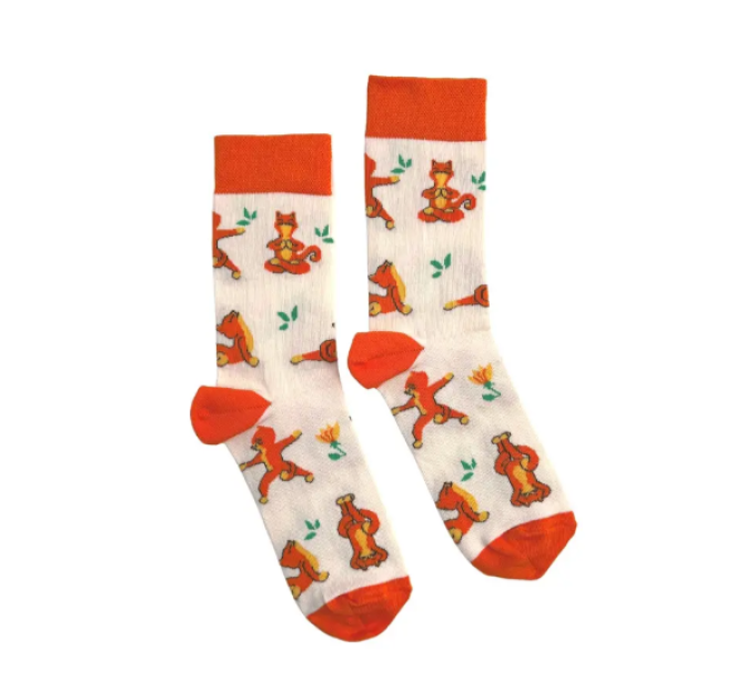 Шкарпетки Котики RAO Socks