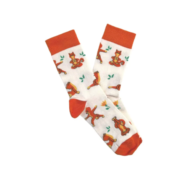 Шкарпетки Котики RAO Socks