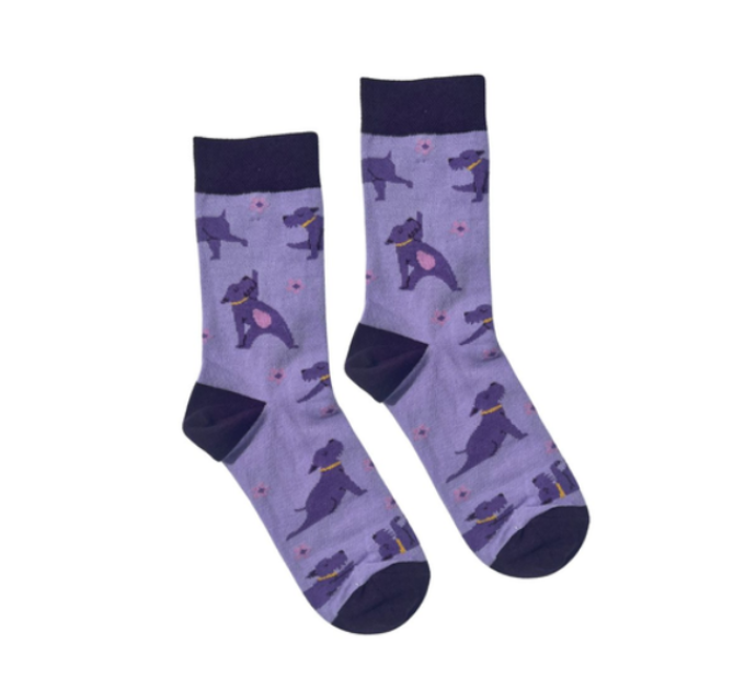 Шкарпетки Собачки RAO Socks