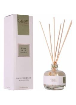 Диффузор Duos Parfumé