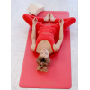 LOTUS Yoga Mat Red | Mind Body